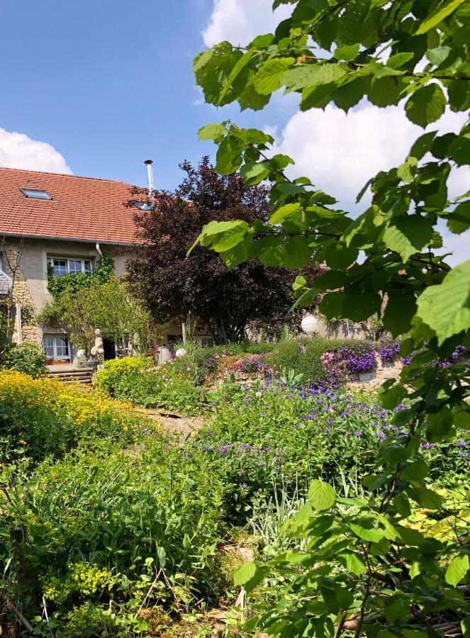 Le Clos Des Pommes Bioncourt Экстерьер фото